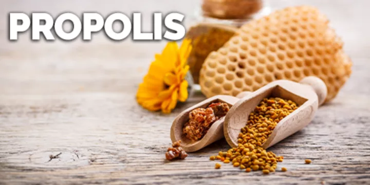 Propolis