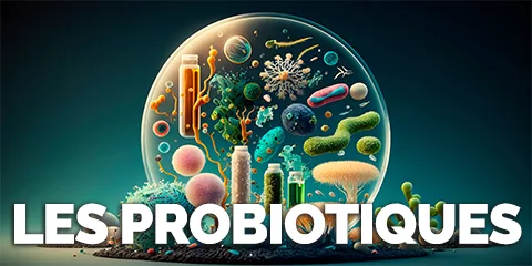 Probiotiques ou prebiotiques ?