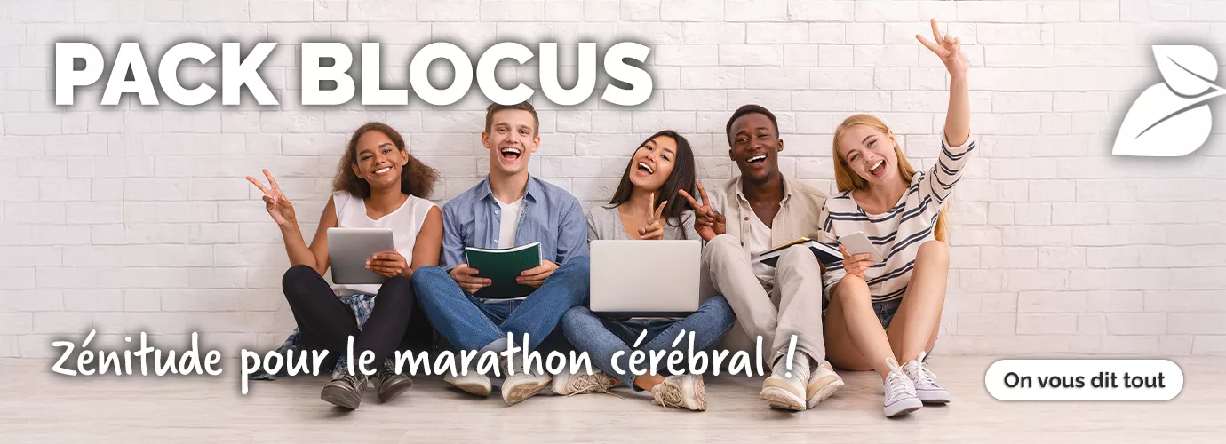 Pack blocus 2025