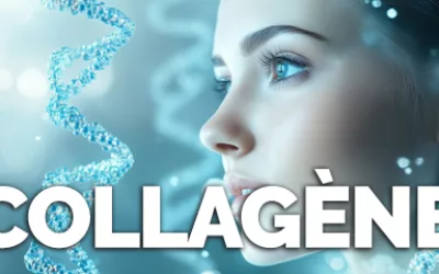 Collagène