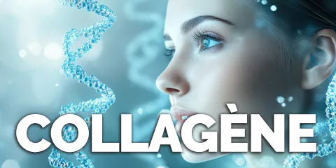 Collagène