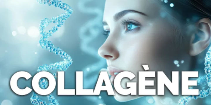 Collagène