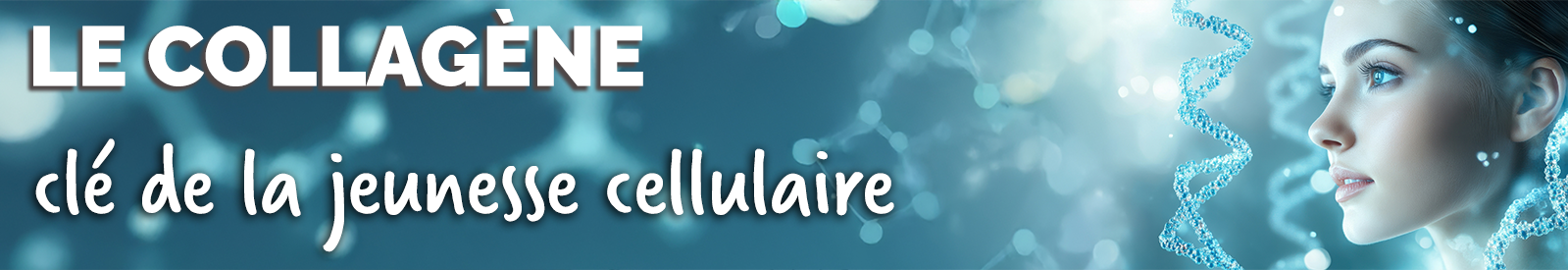 Collagène