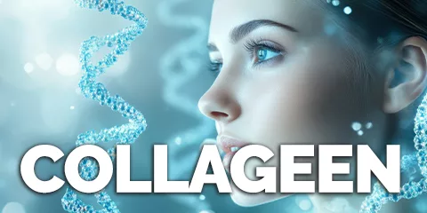 Collageen