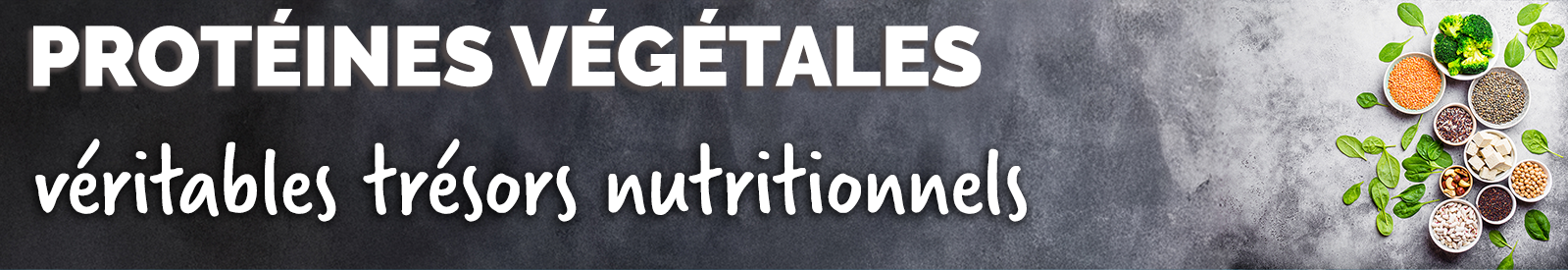 Recette protéines végétales