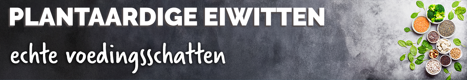 Recept plantaardige eiwitten