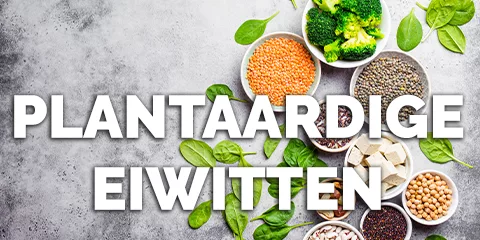 Recept plantaardige eiwitten