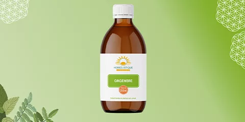 Gingembre