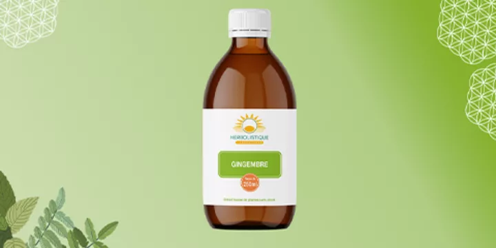 Gingembre