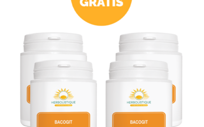 Kuur Bacogit