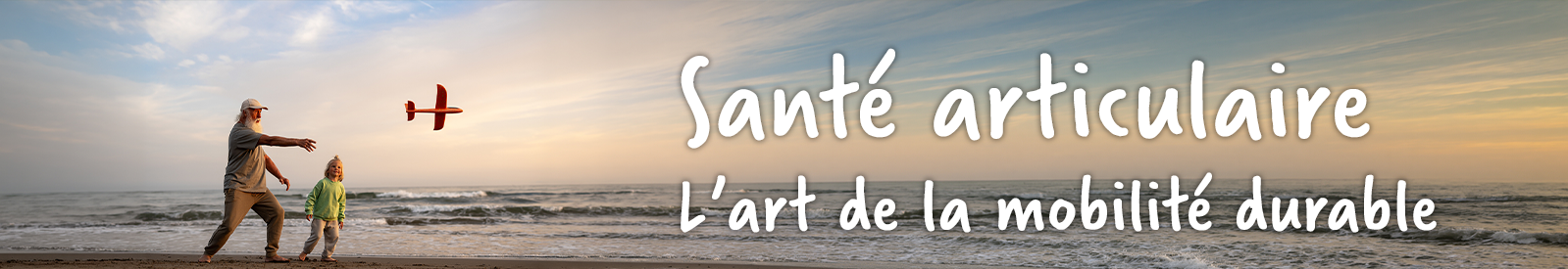 Mobilité articulaire