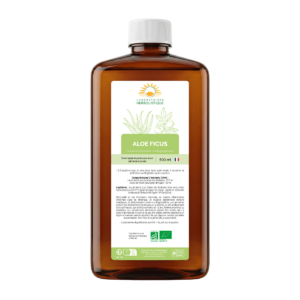 1001_Aloe-ficus
