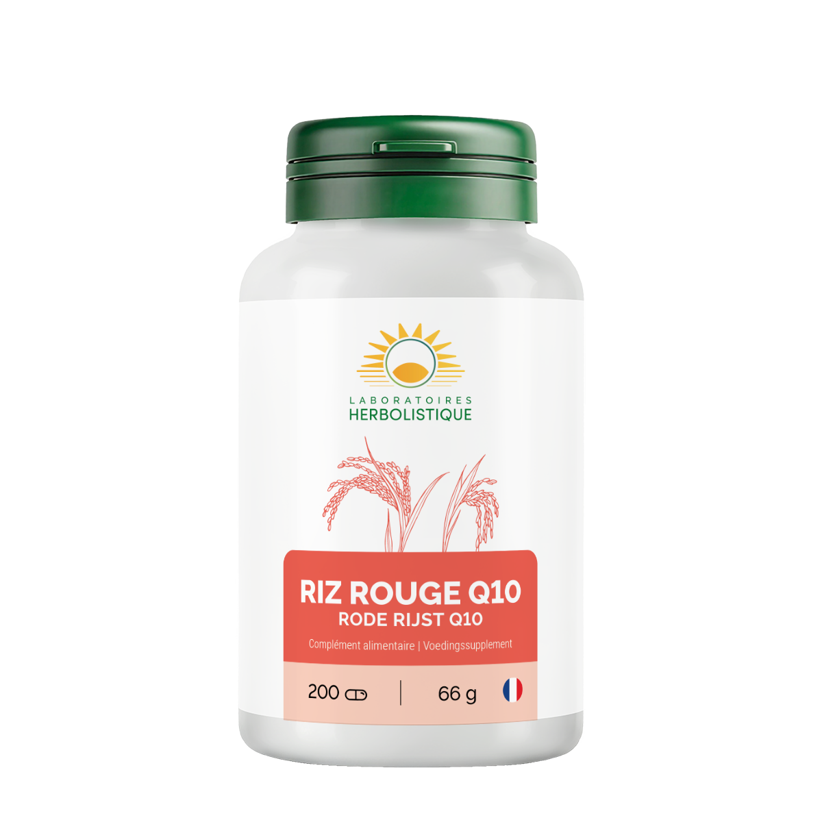 145_Q10-Riz-rouge
