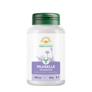 207_Piloselle