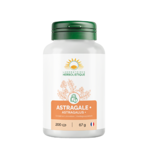 331_Astragale