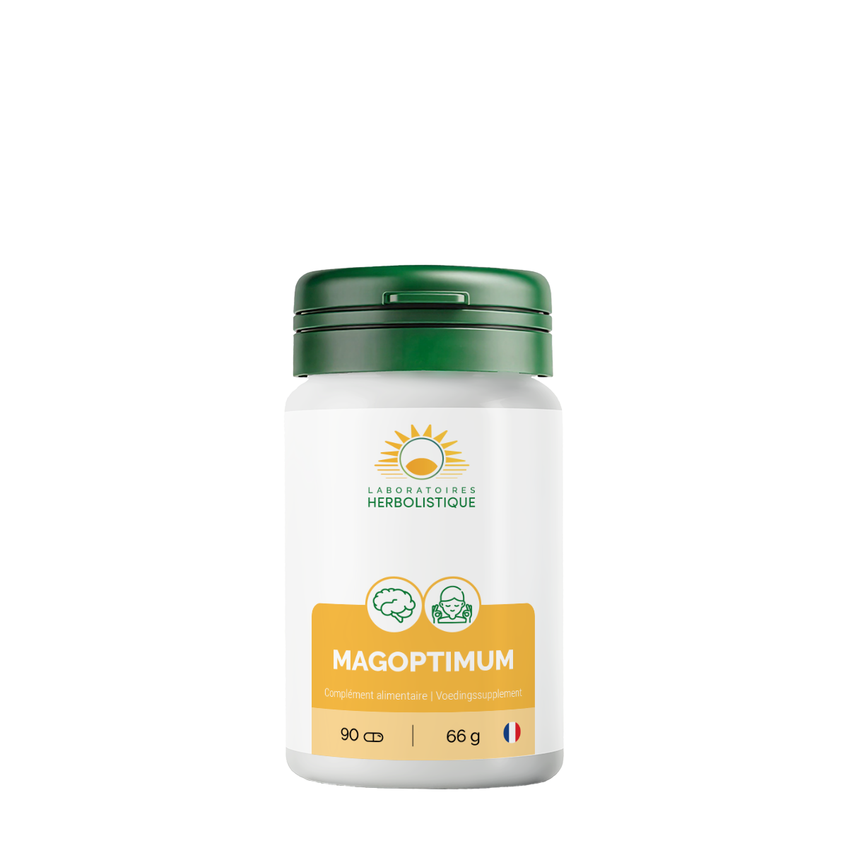 505_Magoptimum